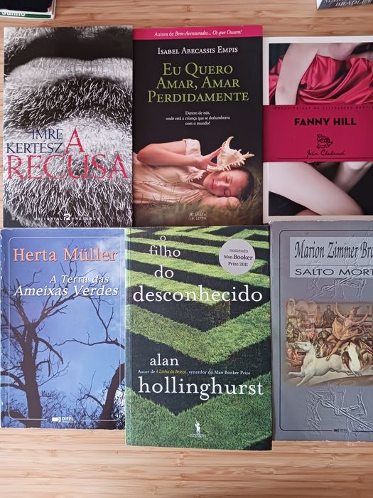 Lote de 24 livros temas e escritores diversos
