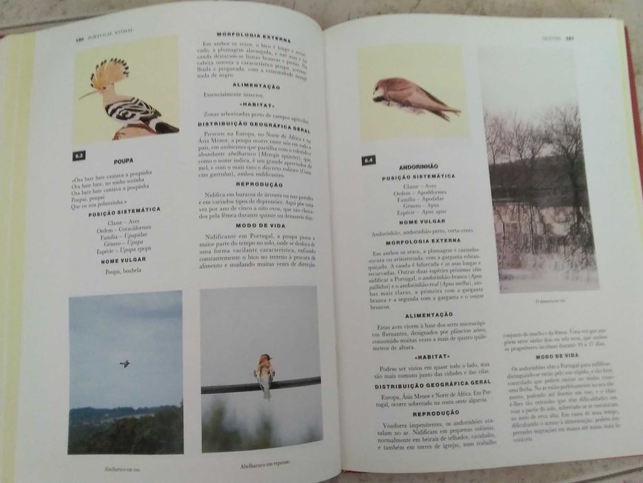 Livro  Portugal Animal