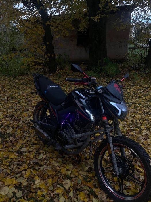 Musstang Fortune 200