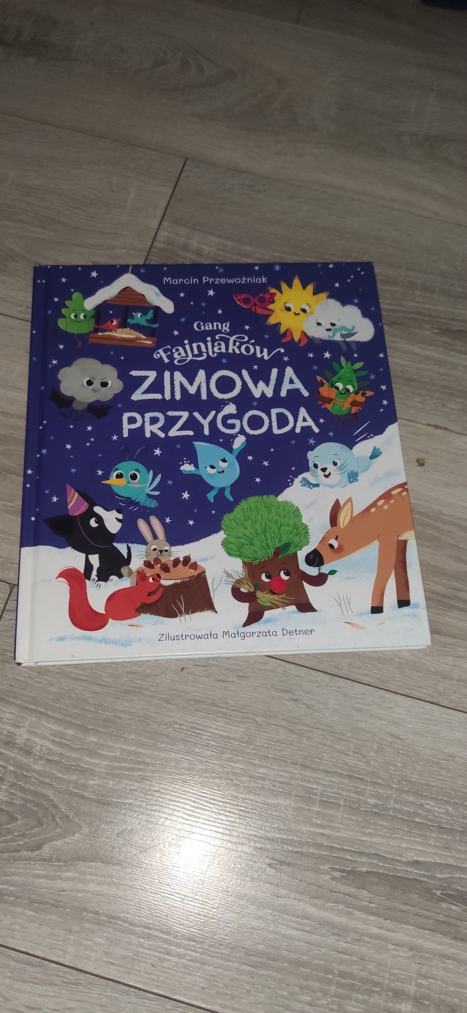 Książka dla dzieci - Gang Fajniaków. Zimowa przygoda Marcin Przewoźnik