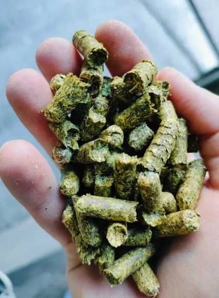 Susz z lucerny, lucerna granulowana - big-bag, worki 40kg