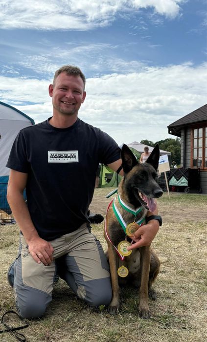 Owczarek belgijski malinois Canum Amicus FCI zapowiedz miotu