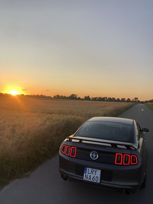 Mustang 2014r 3.7 Manual, przebieg 65tys km