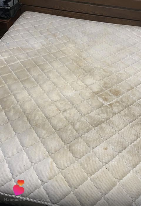 Клінінг Камʼянське ФрешХауз