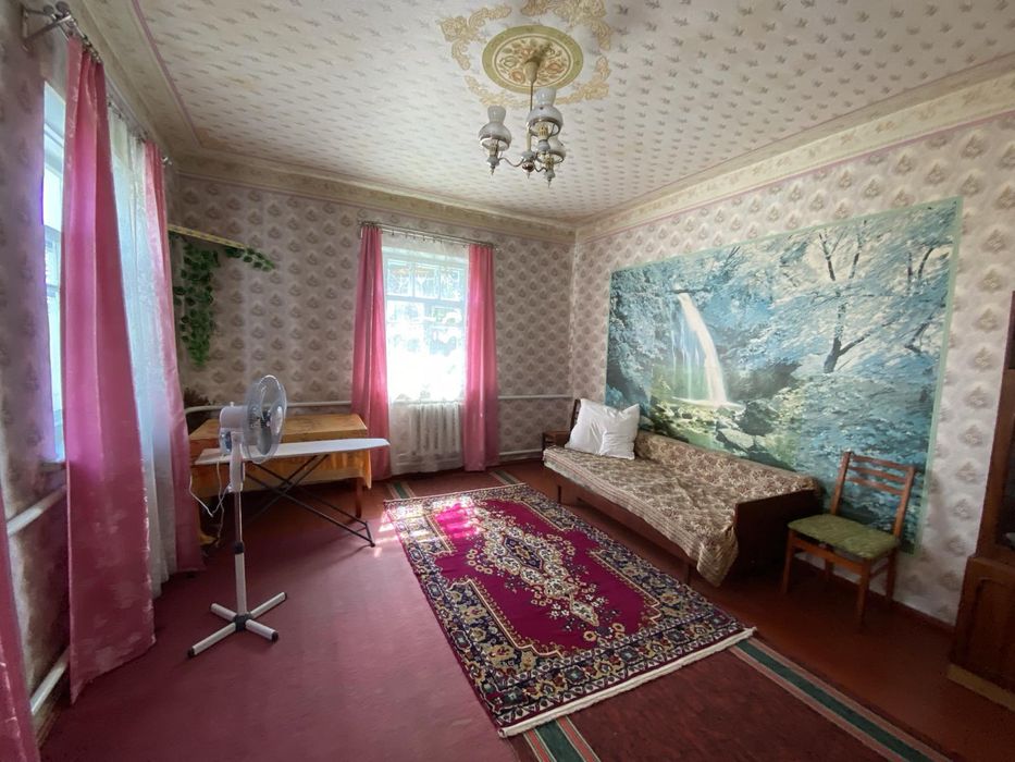 Продам будинок в мальовничому селі