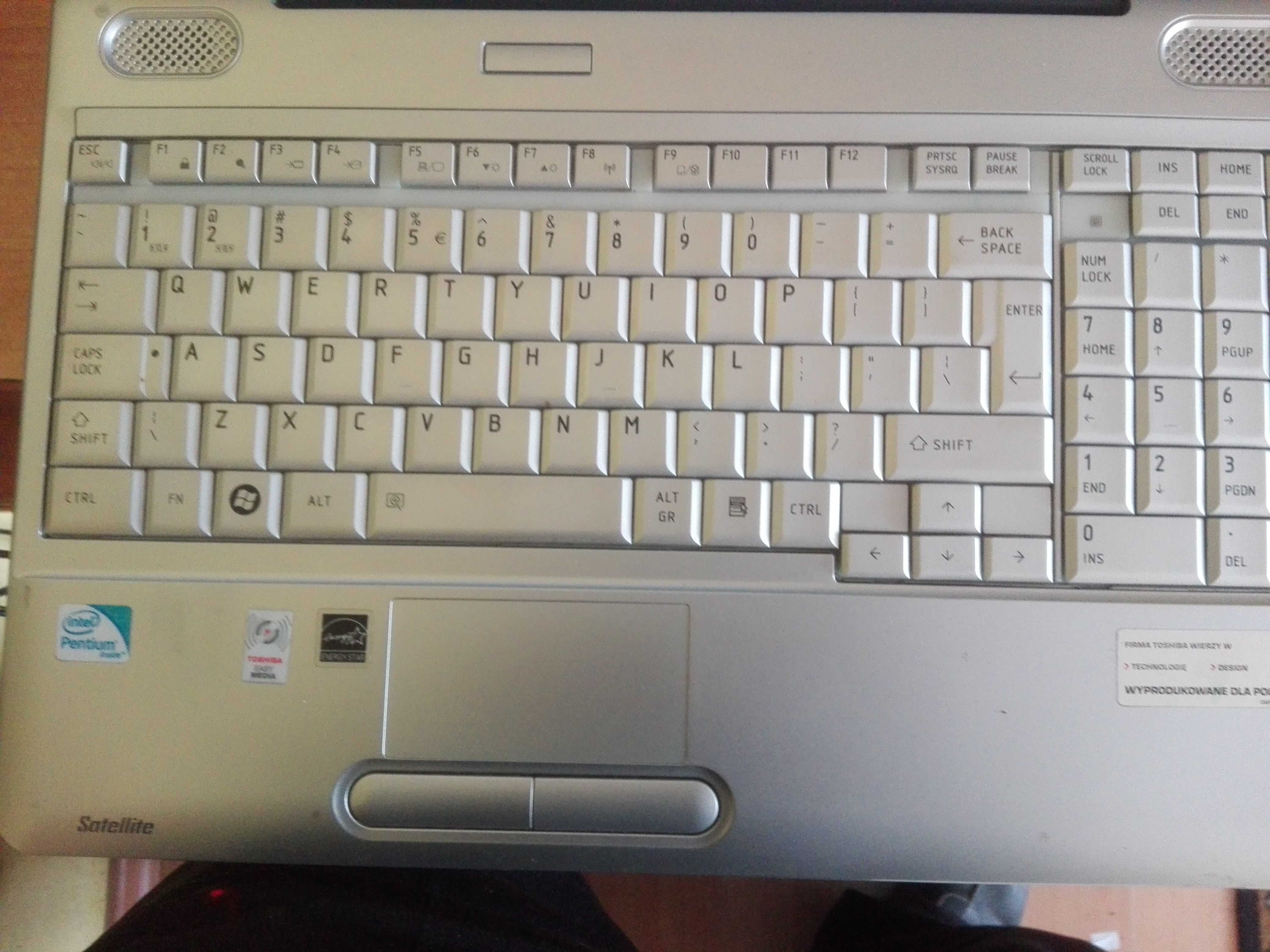 Toshiba Satelite L500-1V1