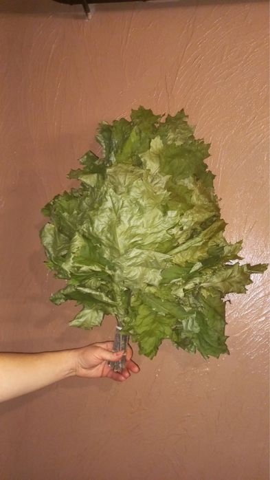 Продам віники для бані