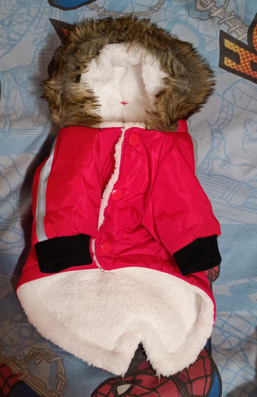 Одяг куртка, жилет для маленьких собак до 3 кг, зима осінь/весна