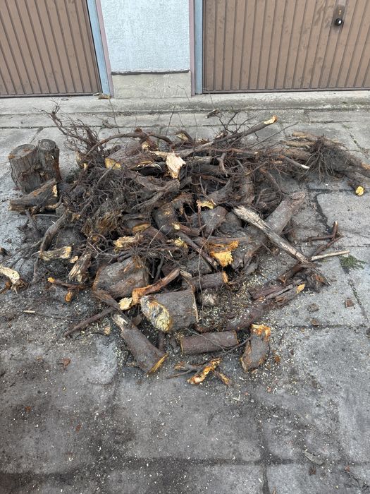 Drewno na opał - za darmo