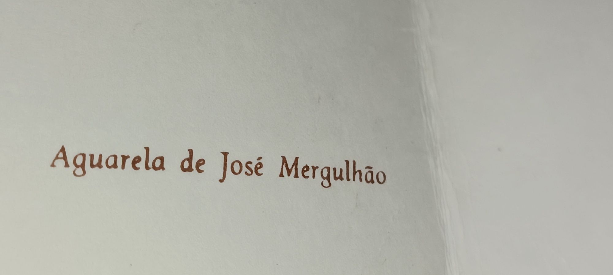 Litografia do mestre José Mergulhão