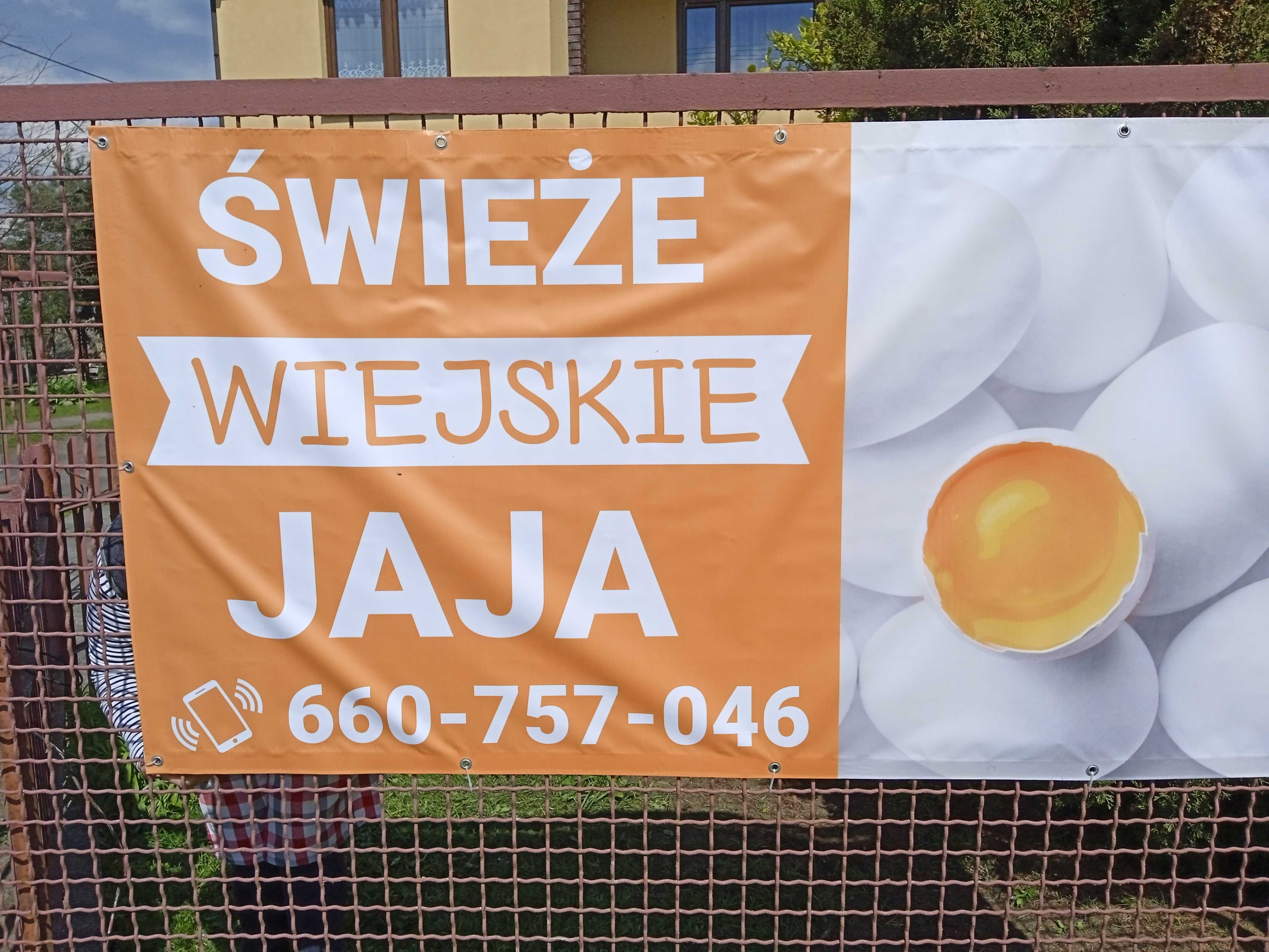 Świeże wiejskie jaja