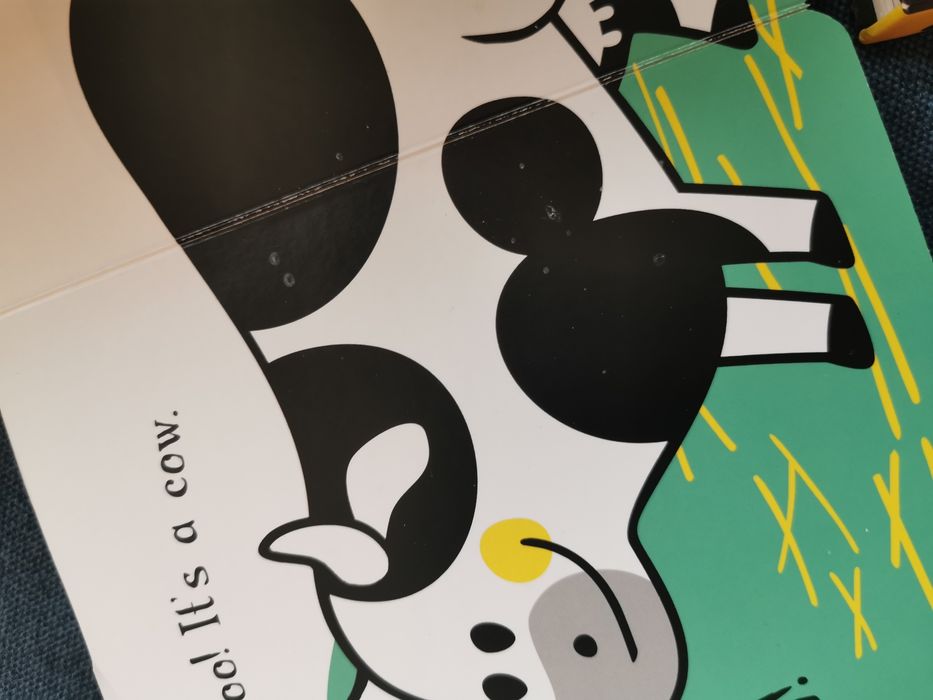 Książki kontrastowe interaktywne po angielsku