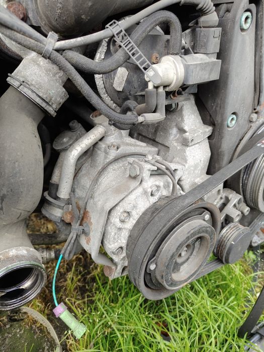Sprężarka klimatyzacji Passat B5 FL 1.9 TDI