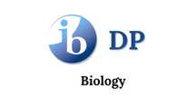 Wojtek – korepetycje z biologii IB / pre-IB (DP i pre-DP)