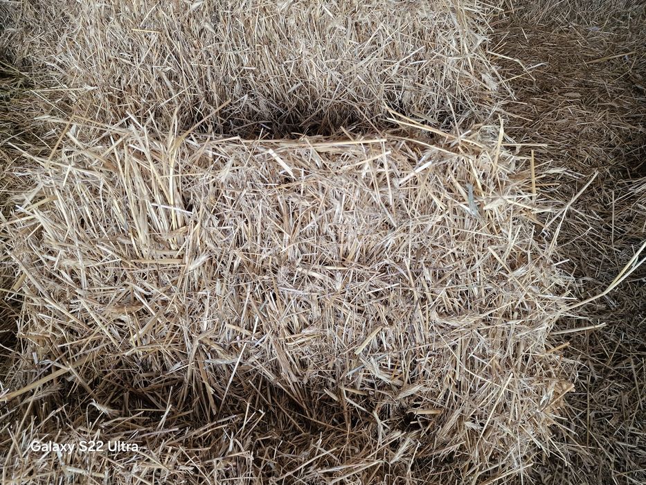 Sloma że stodoly / kostka /słoma /siano