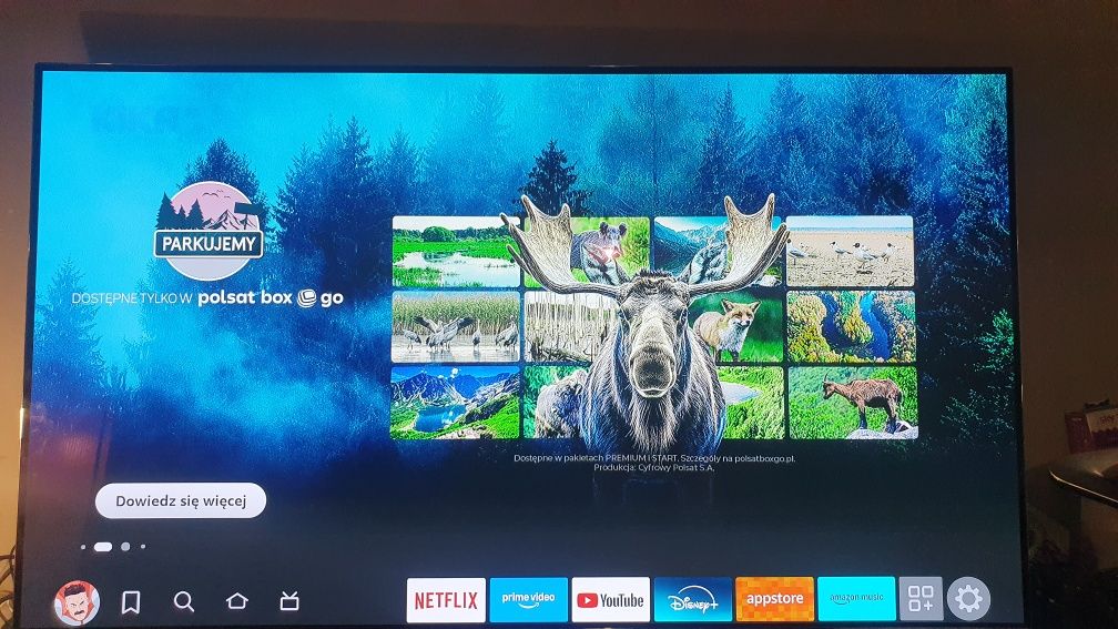 Telewizor OLED Skyworth 65"+Amazon FireTv Stick.