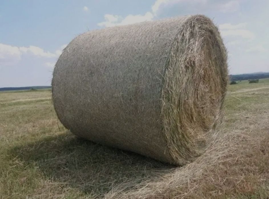 Sprzedam siano z pod dachu