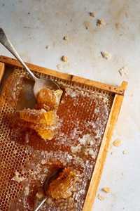 Продам Бджолиний мед
