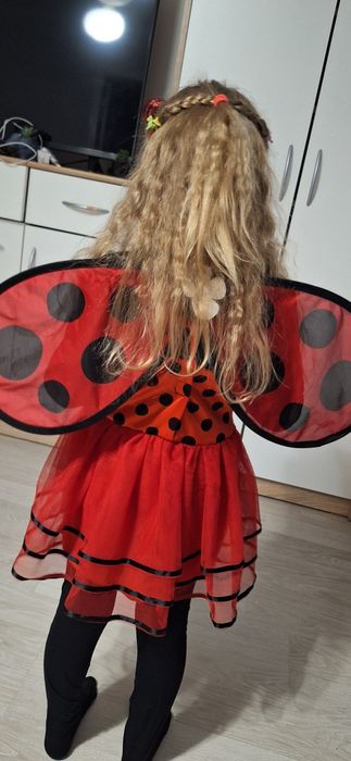 Strój biedronki 104