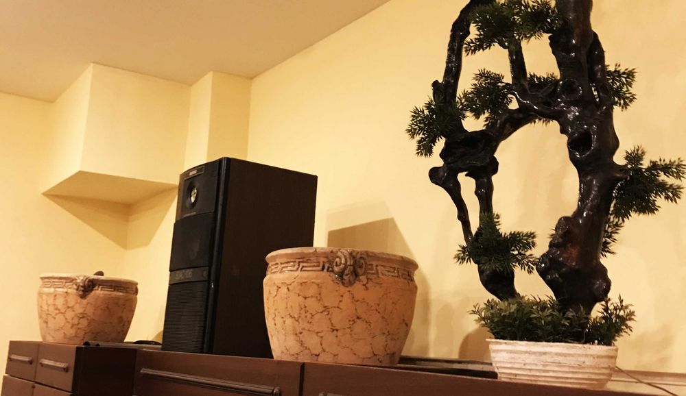 ВЕЛИКІ ВАЗОНИ В ГРЕЦЬКОМУ СТИЛІ Найкращий дизайн для Вашого дому!