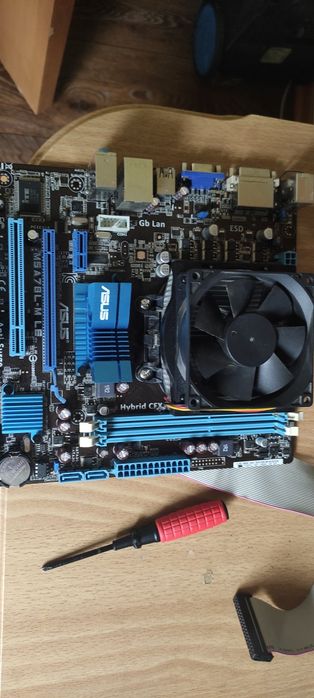 Комплект M5A78L-M LE + athlon x2 250