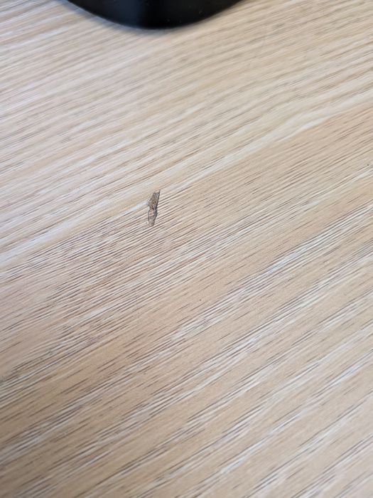 Móvel TV kinda home