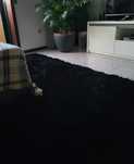 Carpetes sala pretas