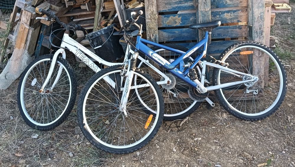 2 bicicletas adulto + 1 bicicleta criança