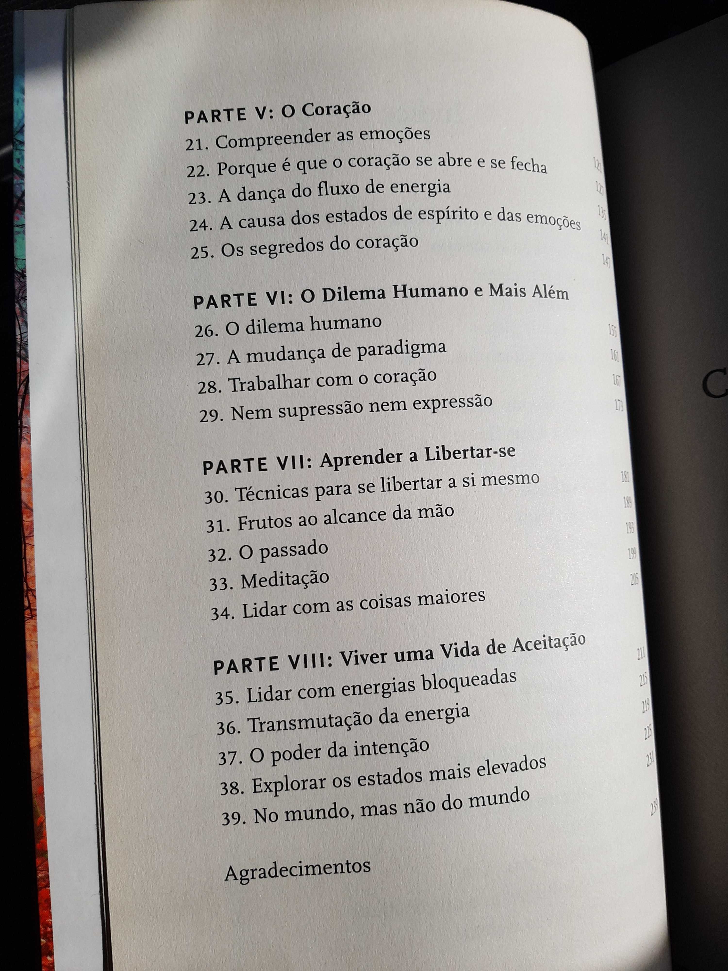 Viver sem limites de Michael A. Singer