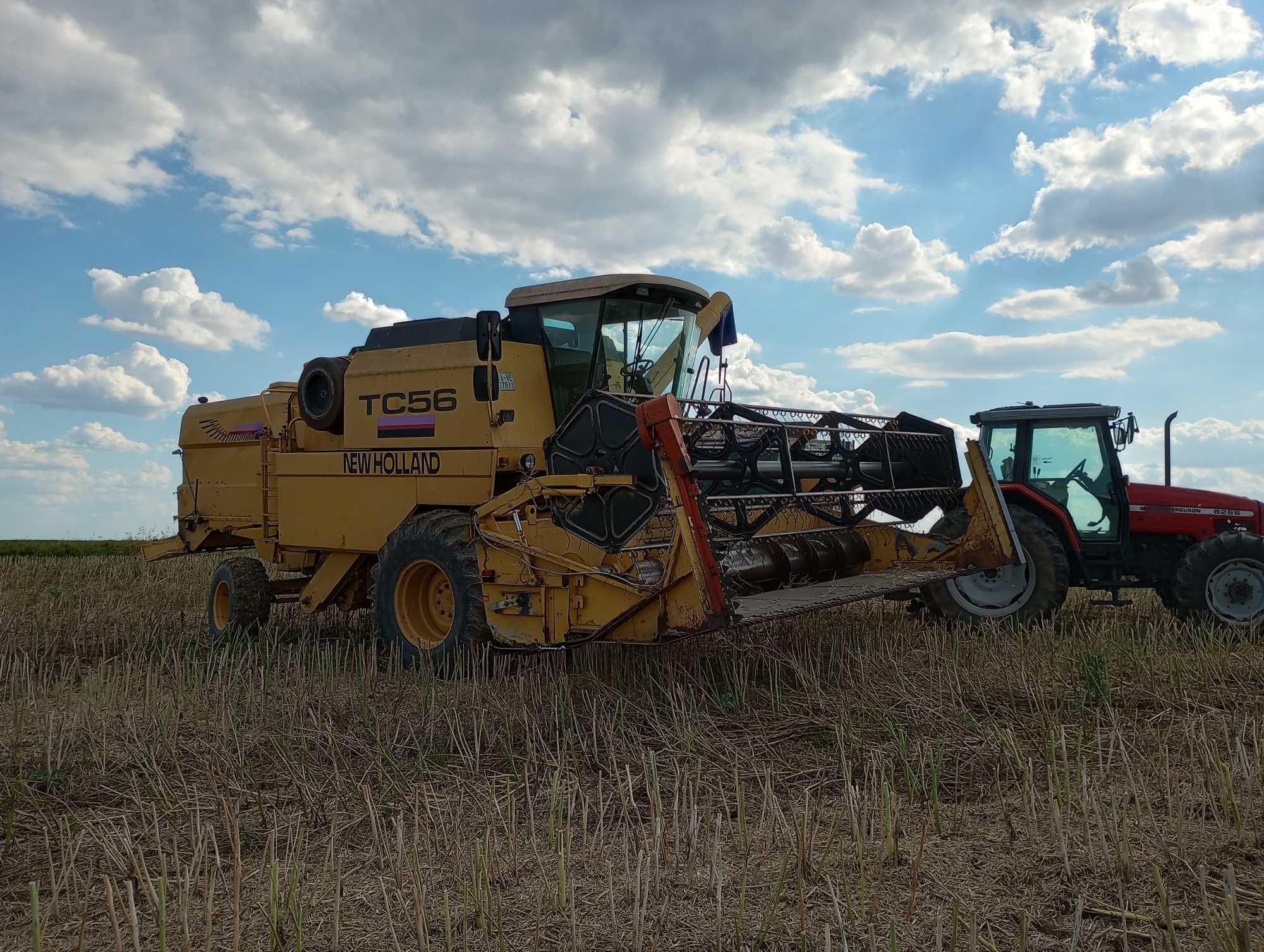 New Holland TC 56 ładny stan stół do rzepaku