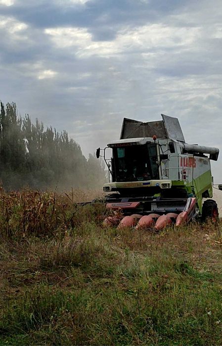Послуги Комбайн лексіон 480