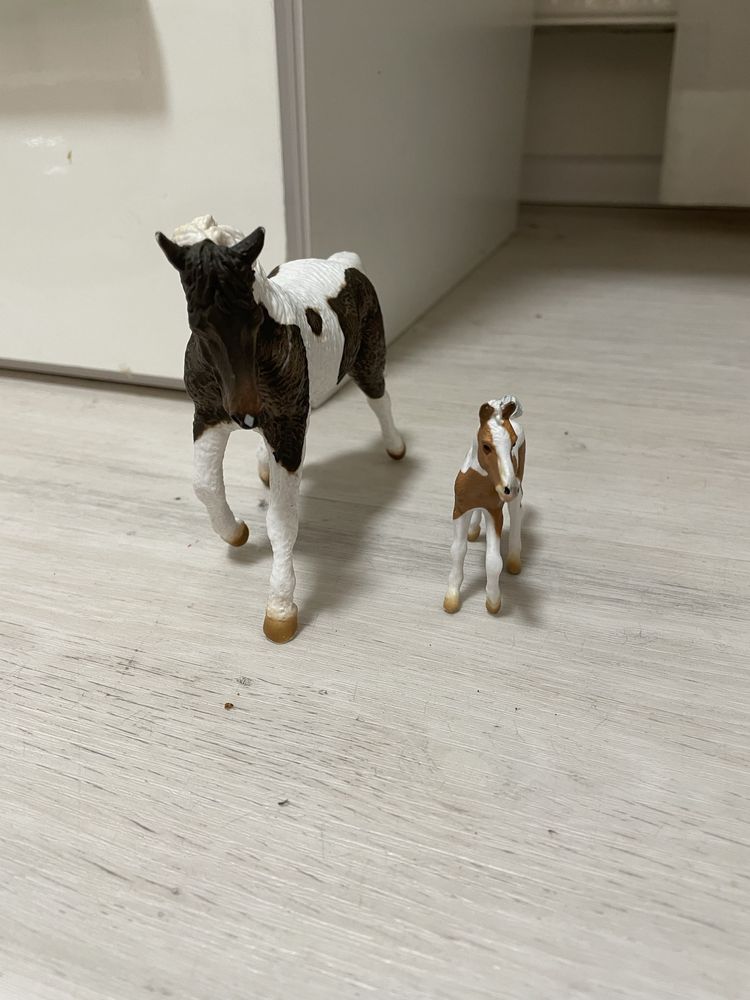 Collecta.