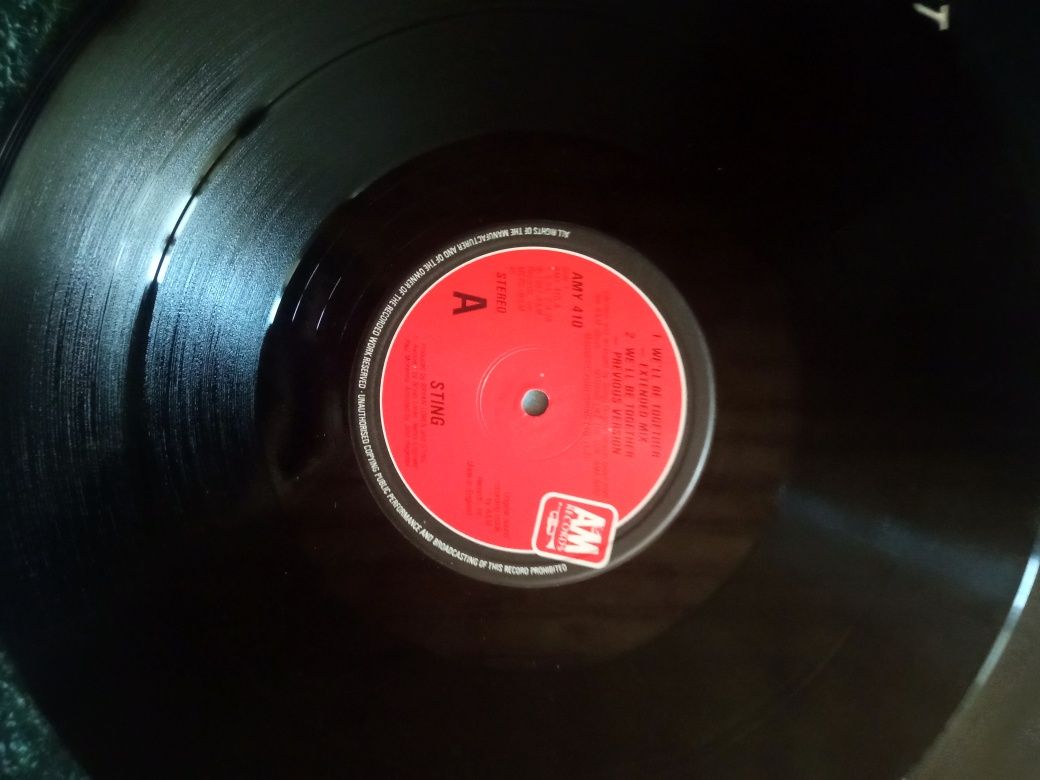 Vinil maxi Sting - We'll be Together