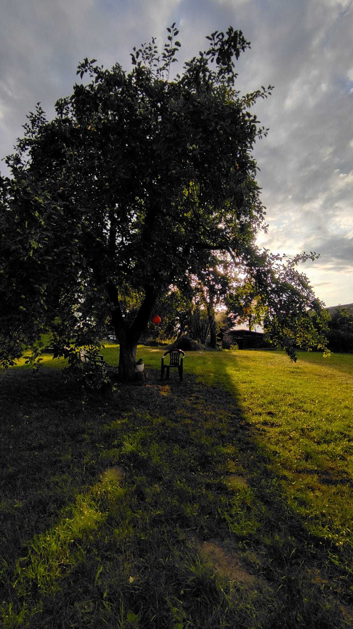 Domek w sadzie do wynajęcia