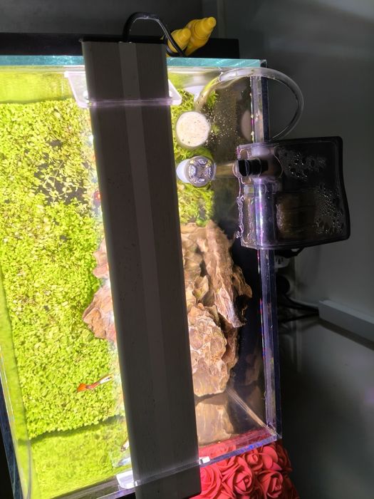 Sprzedam małe akwarium 25l filtr,rosliny Sinkor Led WiFi