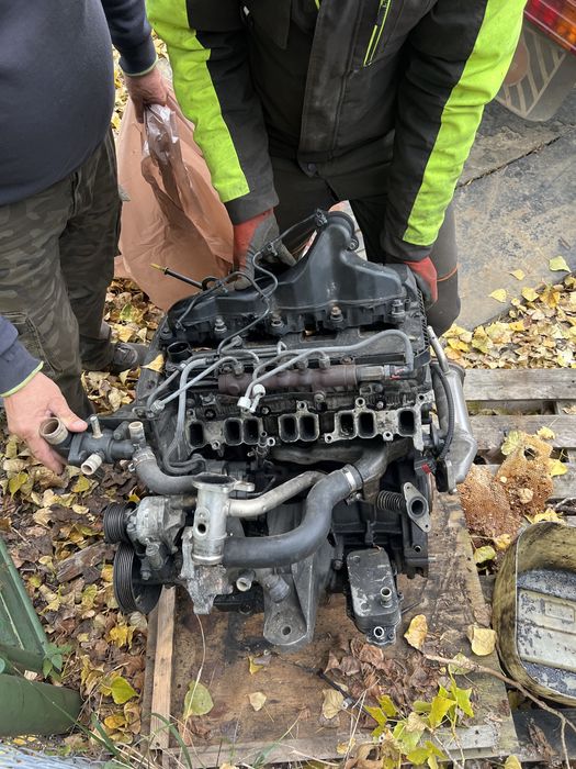 Silnik ford transit 2.4