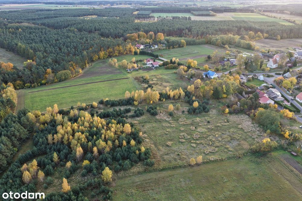 Działka komercyjna 17302 m² w spokojnej okolicy pod lasem
