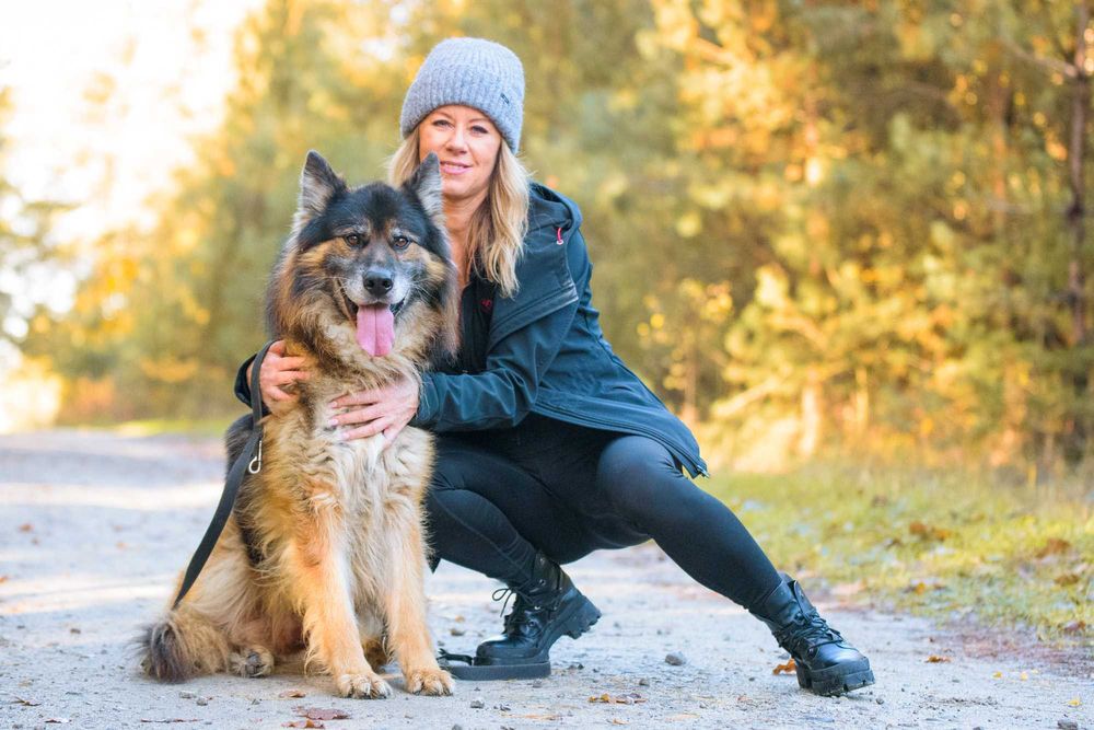 Odino: pluszaty, przyjazny, mądry owczarkowy psistojniak