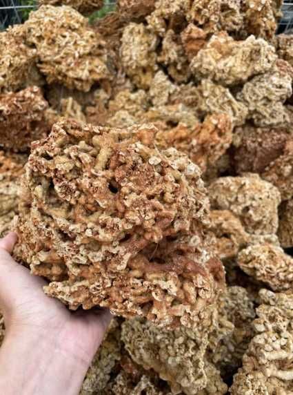 Czerwona Skała Wapień Koralowy Kamień Naturalny Akwarium Terrarium