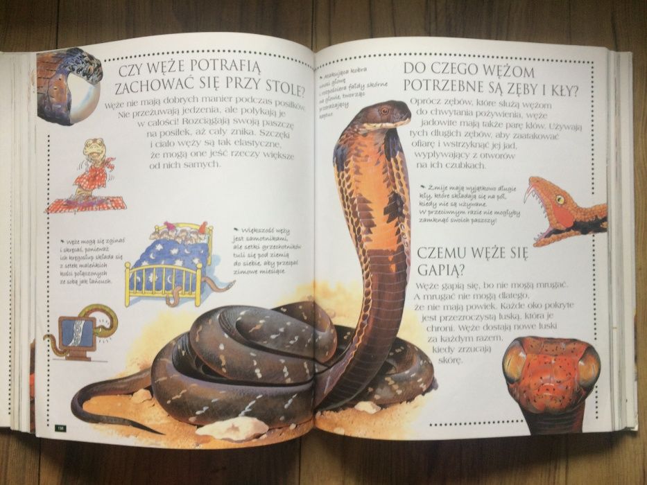 Encyklopedia zwierząt. Ciekawe dlaczego - pytania i odpowiedzi