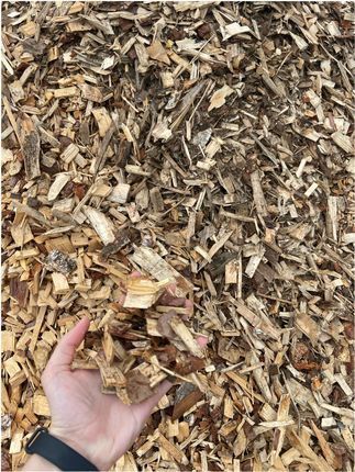 Zrębka drzewna świeża