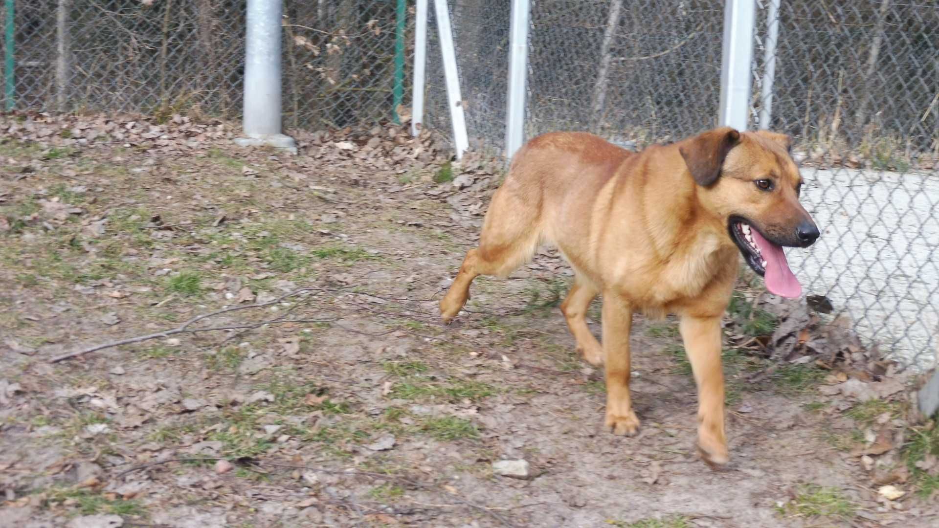 Zdystansowany Jordan szuka troskliwego opiekuna