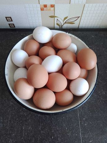 Продам домашні яйця