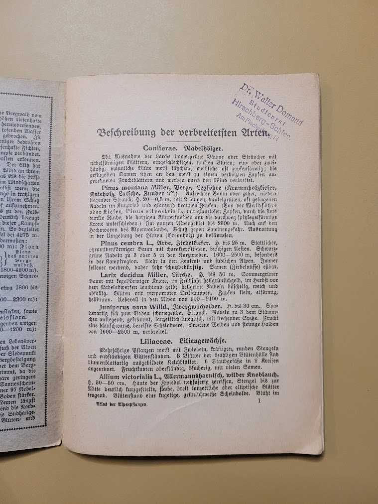 Schreibers kleiner Atlas der Alpenpflanzen