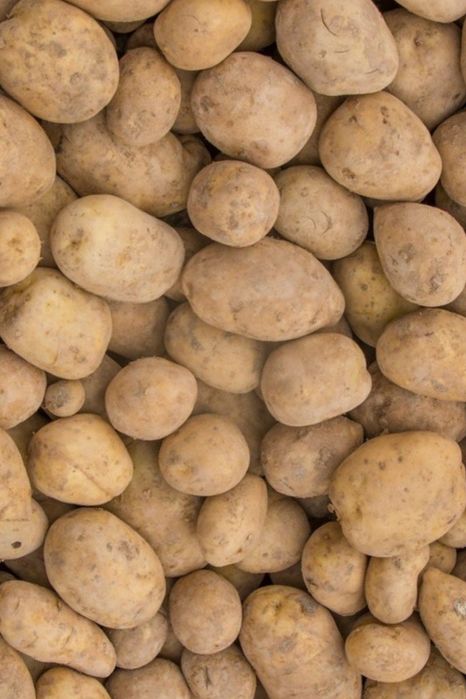 Ziemniaki jadalne 1.50 kg