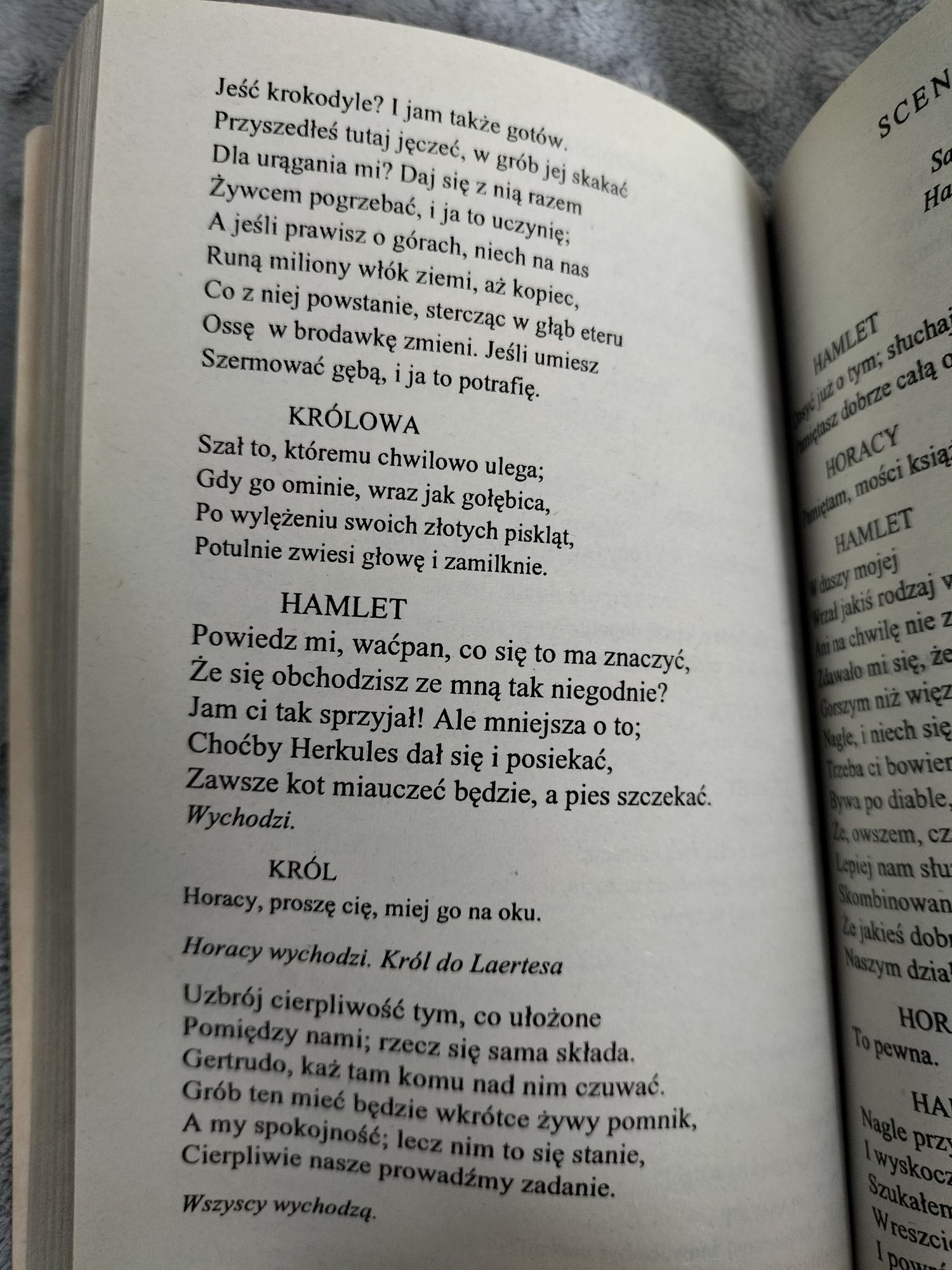 Makbet i Hamlet - seria z jeżykiem