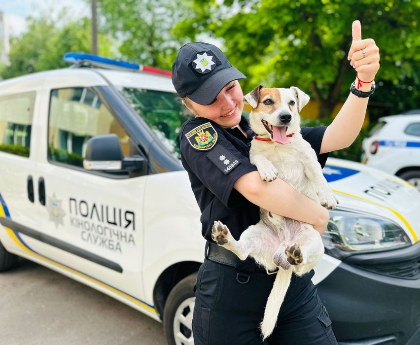 В'язка Джек Рассел тер'єр