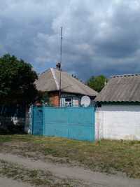Продається будинок в селі Шелудьківка