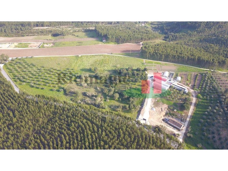 Terreno Rústico em Rio Maior