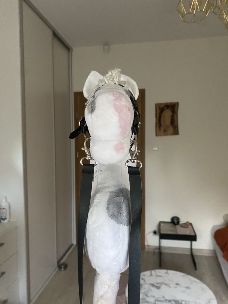 Śliczny hobby horse